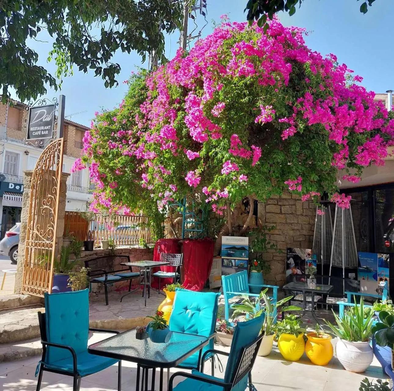 Amina Apartments Zakintos Dış mekan fotoğraf